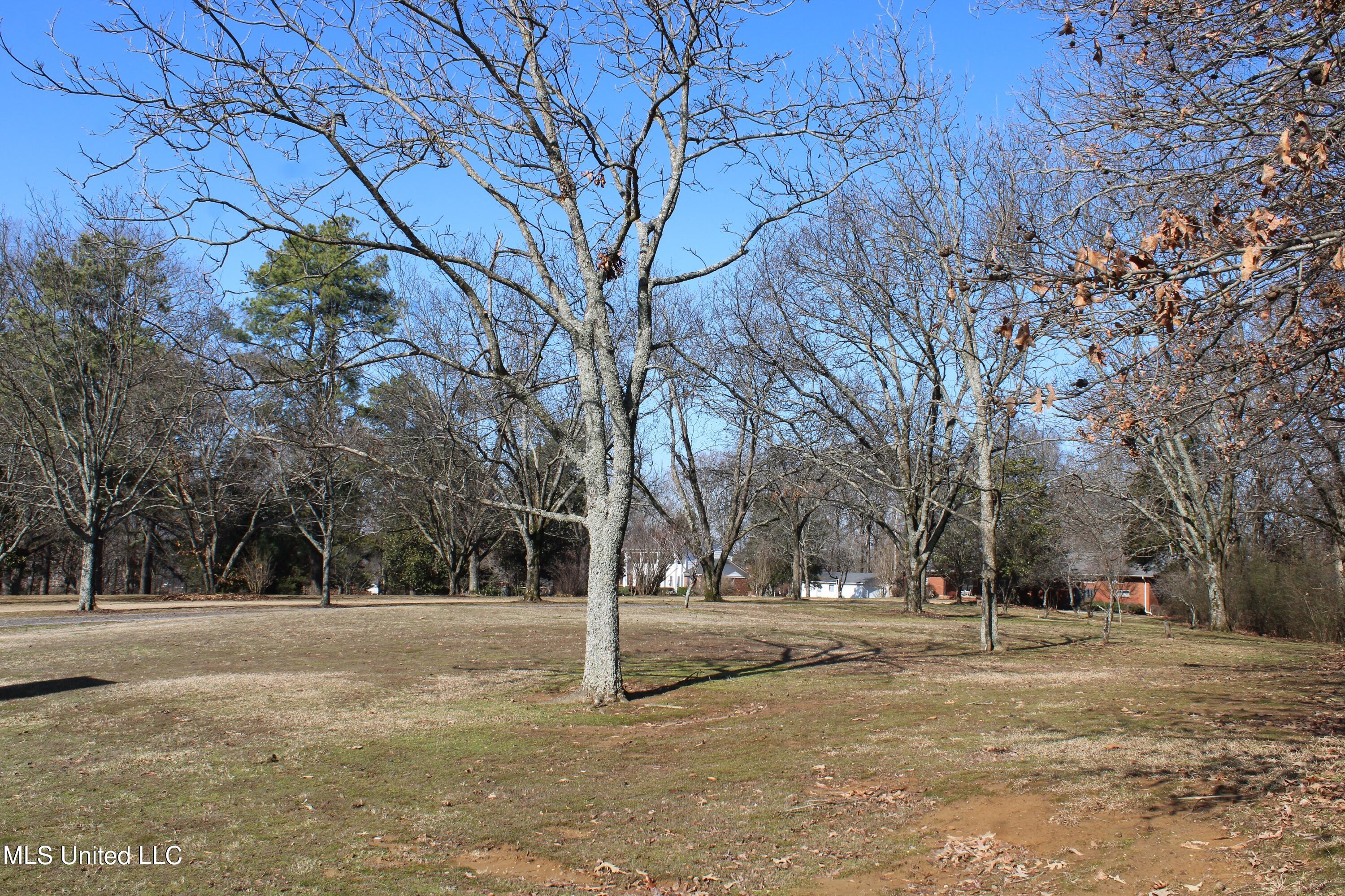 8568 Goodman Road Olive Branch, MS 38654 - Photo 7 of 11 IMG_3002