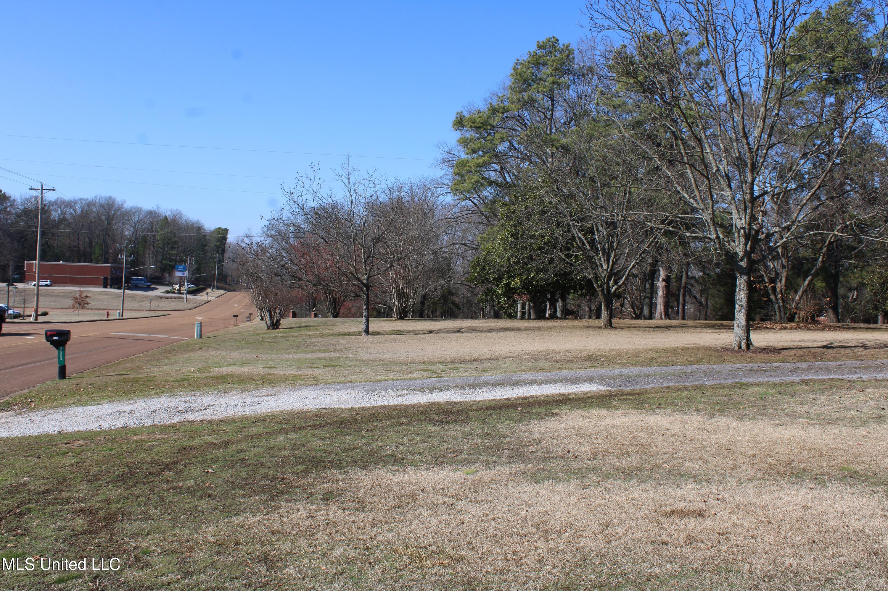 8568 Goodman Road Olive Branch, MS 38654 - Photo 8 of 11 IMG_3005