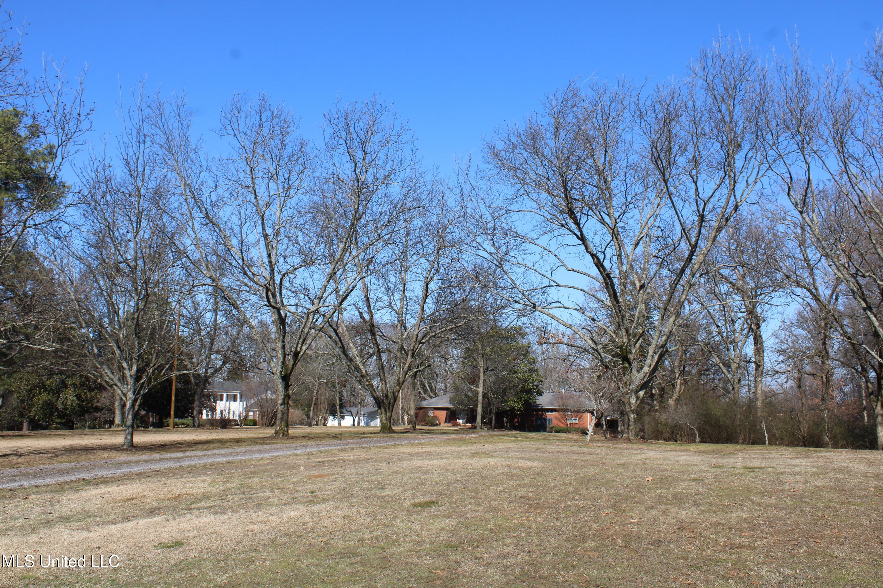 8568 Goodman Road Olive Branch, MS 38654 - Photo 9 of 11 IMG_3006