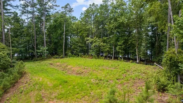 a yard with trees in the background