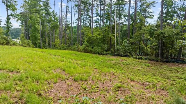 a view of an outdoor space and trees