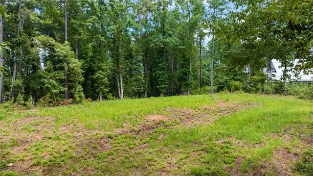 a view of yard with green space