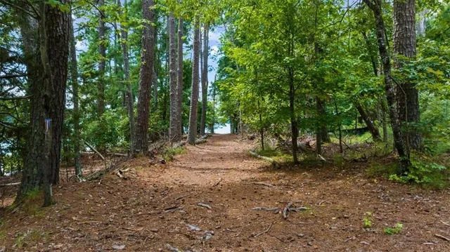 a view of outdoor space and trees