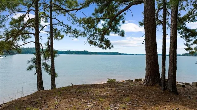 a view of a lake with a tree