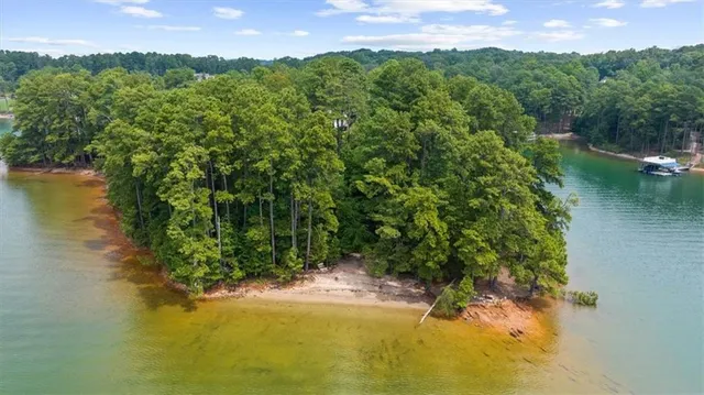 a view of a lake with a mountain