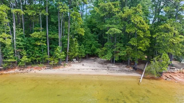 a view of a backyard with plants and tree