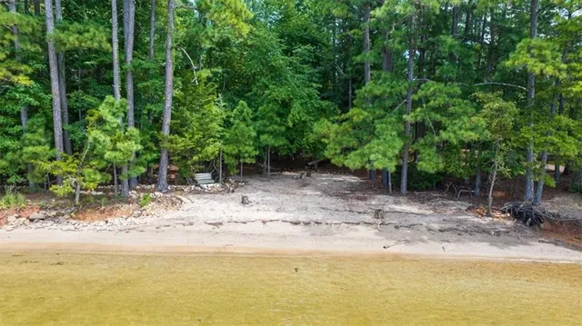 a view of a yard with a tree