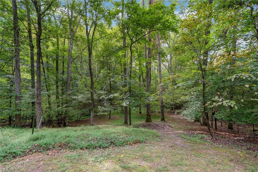 562 Bethlehem Church Road Eden, NC 27288 - Photo 50 of 50 Gallery Image 50