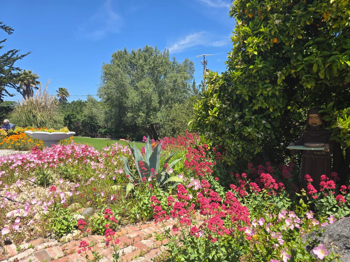 2 Mesa Del Sol Salinas, CA 93908 - Photo 48 of 61 a view of a flower in a garden