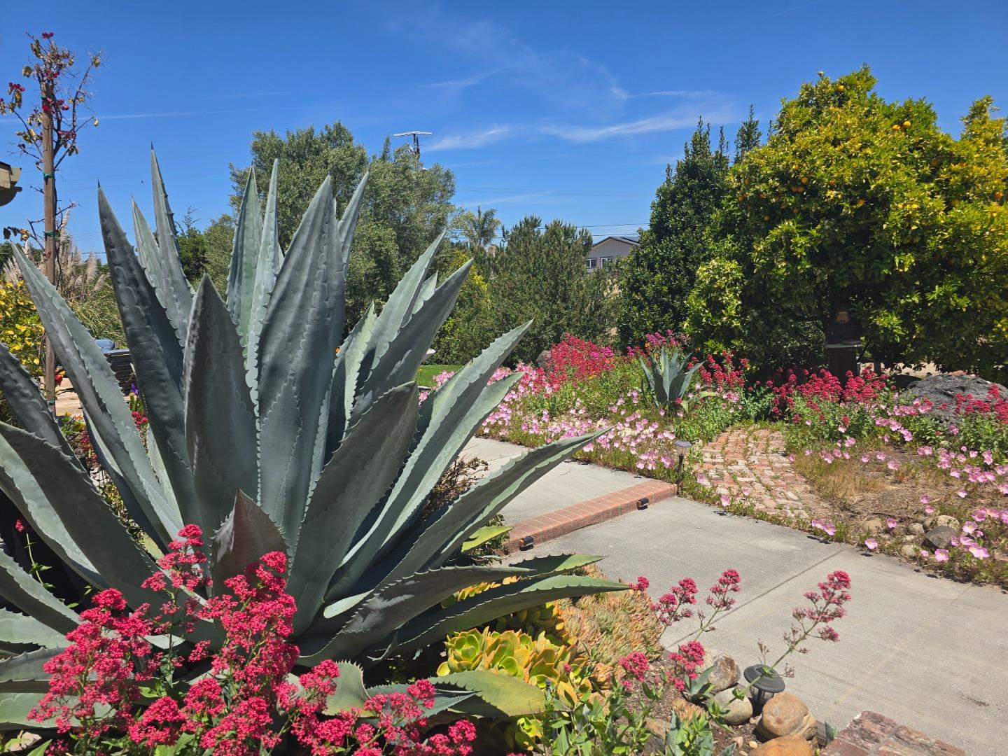 2 Mesa Del Sol Salinas, CA 93908 - Photo 53 of 61