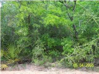 19 Hinote Road DeFuniak Springs, FL 32433 - Photo 1 of 2 a view of a lush green forest