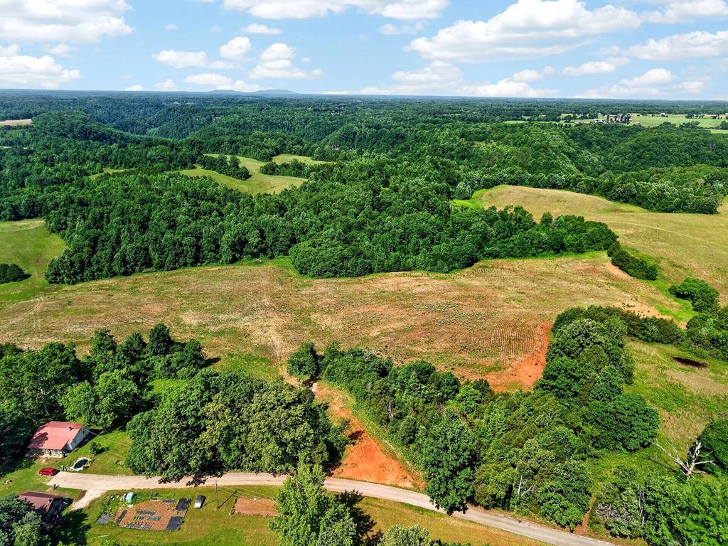 0 Massa Road Baxter, TN 38544 - Photo 10 of 22