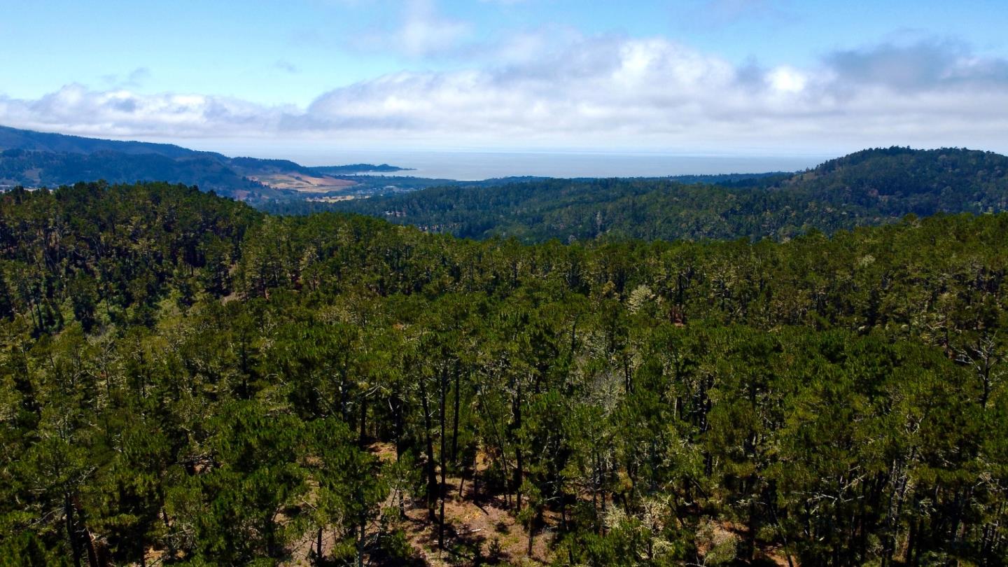 2 Monterra Ranch Monterey, CA 93940 - Photo 16 of 32 a view of a city with lush green forest