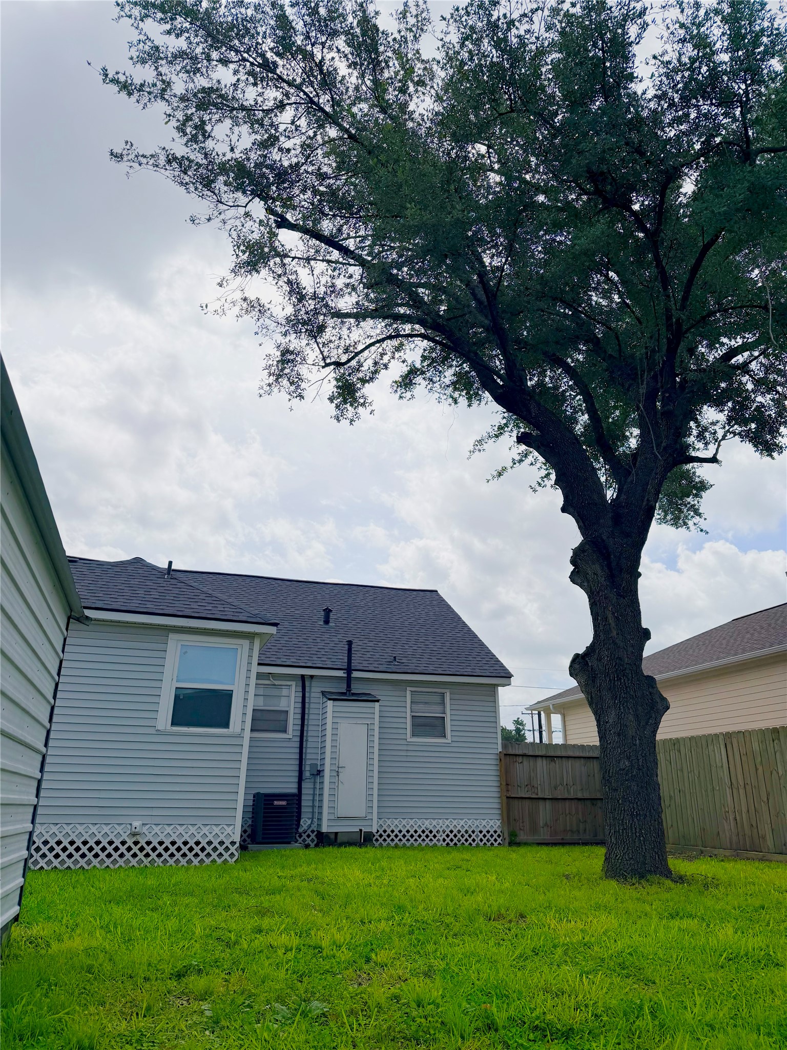 5003 Terry Street Houston, TX 77009 - Photo 3 of 21 Large Backyard with mature tree recently trimmed and ready for new tenants.