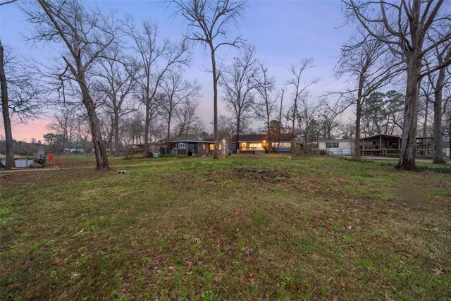 a view of a park with large trees