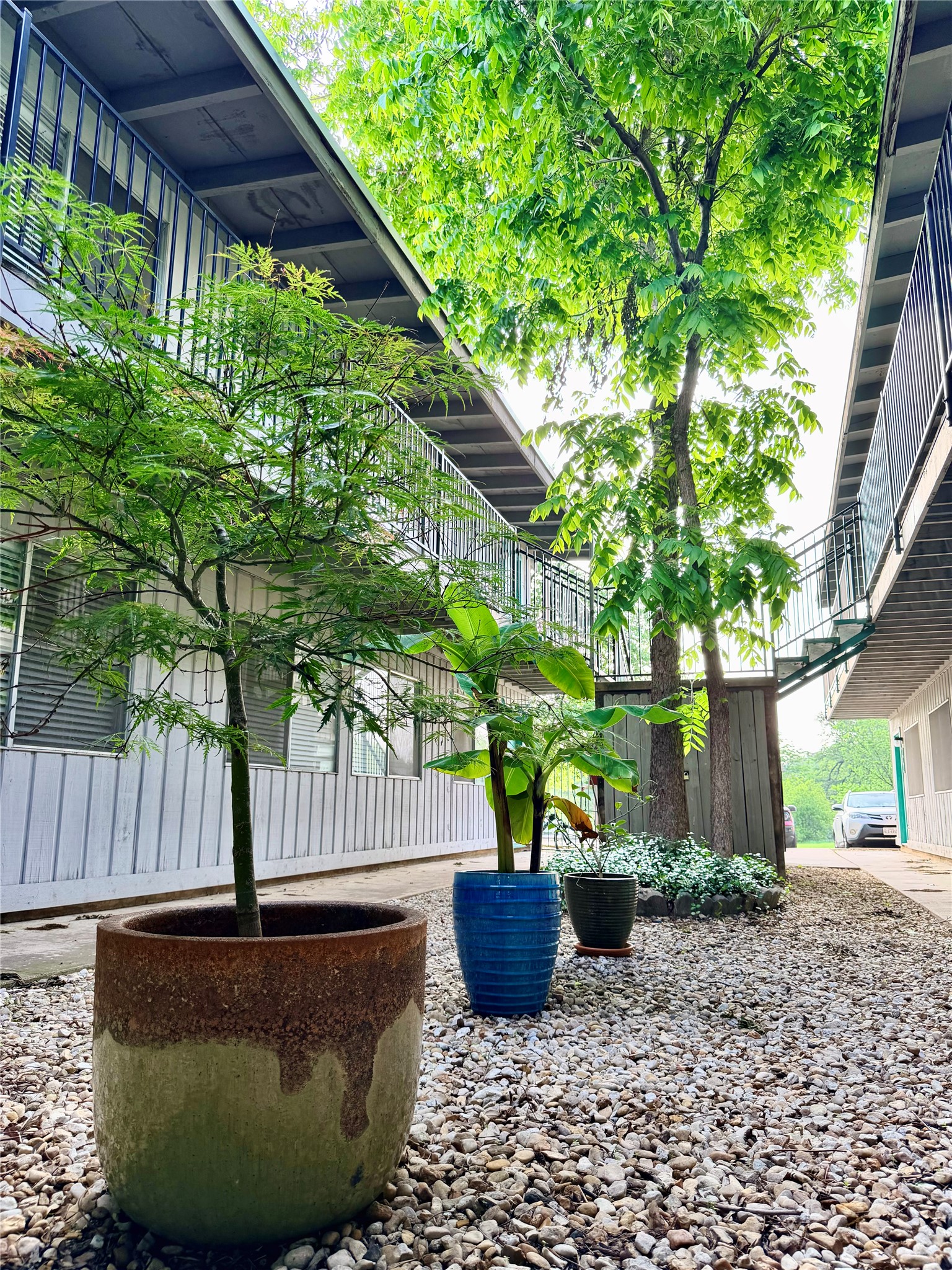 3011 Whitis Avenue, Unit 107 Austin, TX 78705 - Photo 6 of 6 Courtyard