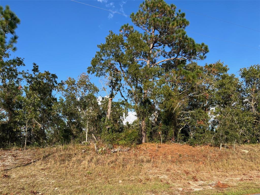 Trumbull Dr Spring Hill Spring Hill, FL 34609 - Photo 1 of 1 Pic from front of lot