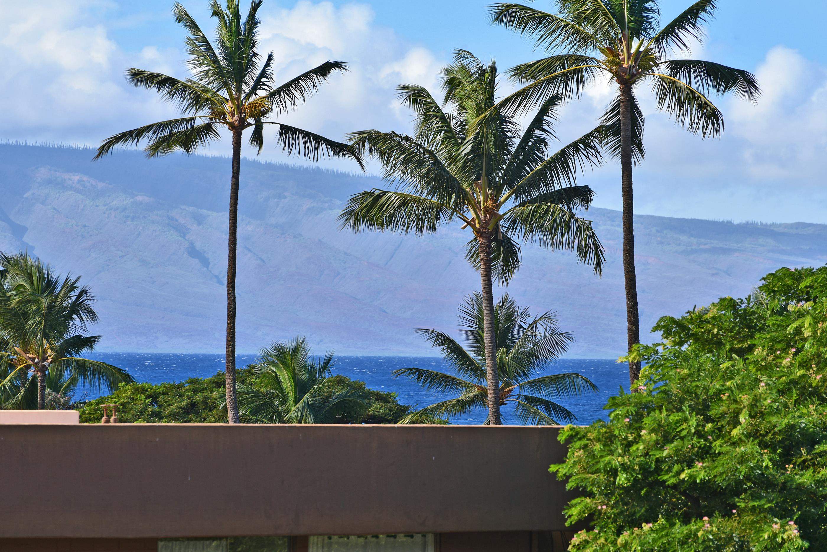 3708 Lower Honoapiilani Road, Unit E30 Lahaina, HI 96761 - Photo 2 of 30 a potted plant sitting in front of a house