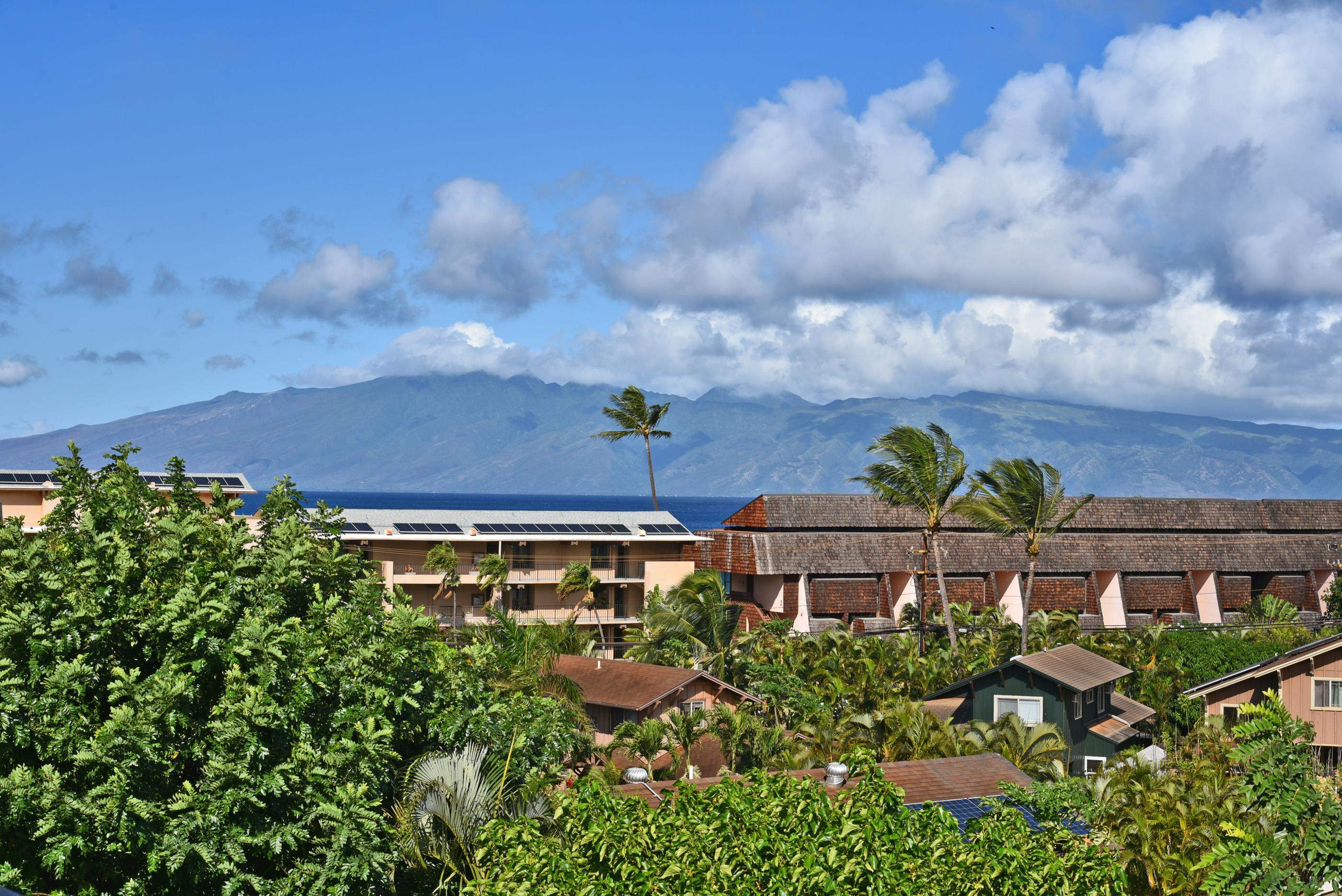 3708 Lower Honoapiilani Road, Unit E30 Lahaina, HI 96761 - Photo 25 of 30 a view of a yard with plants and a bench