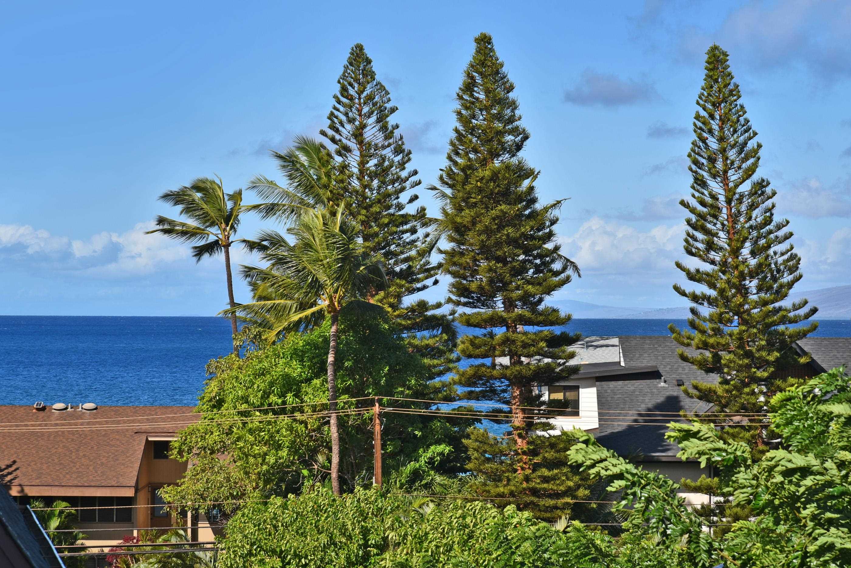 3708 Lower Honoapiilani Road, Unit E30 Lahaina, HI 96761 - Photo 26 of 30 a view of a flower in a garden
