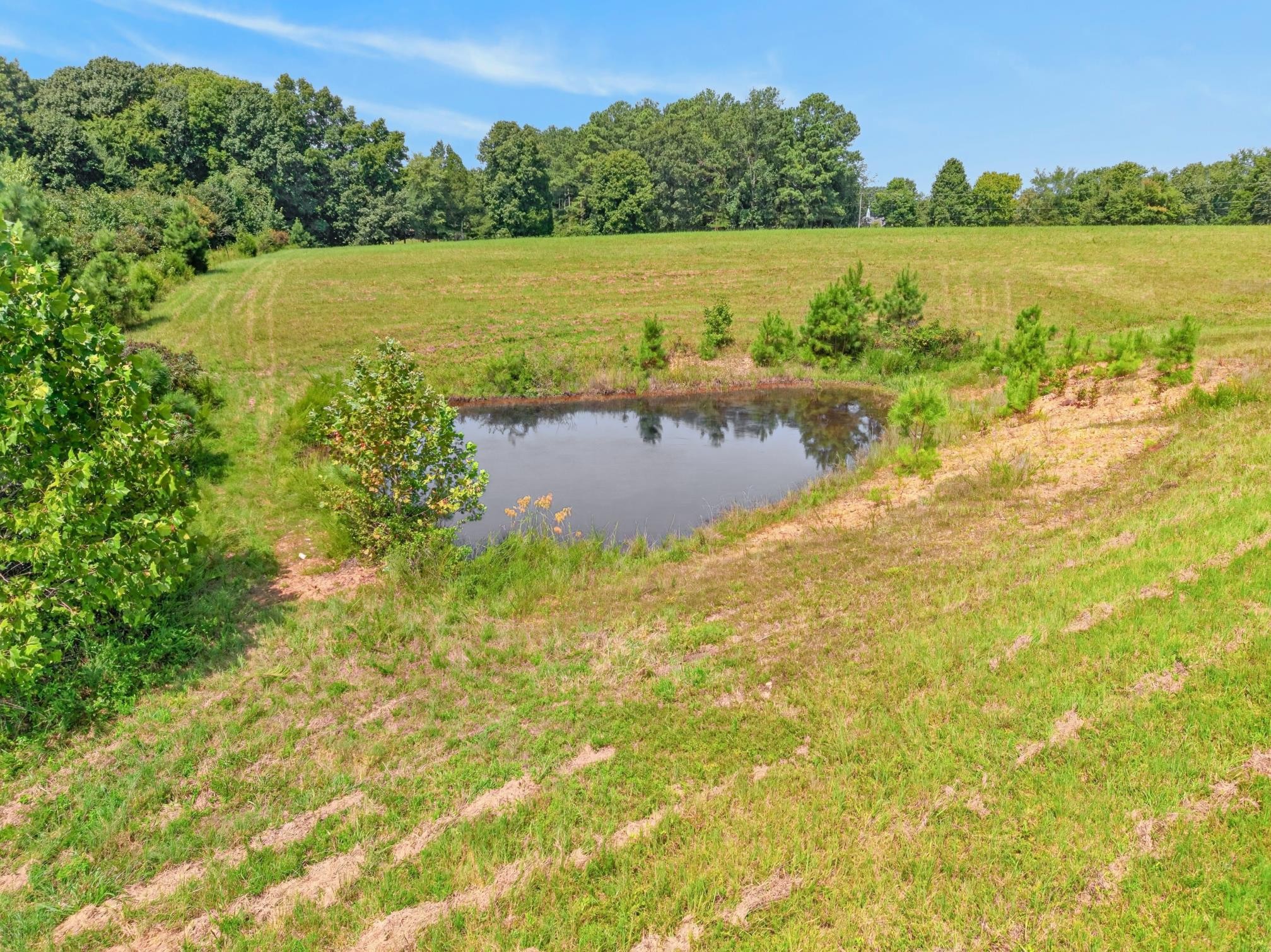 635 Houston Fielder Road Clarksville, TN 37043 - Photo 16 of 37 Gallery Image 16