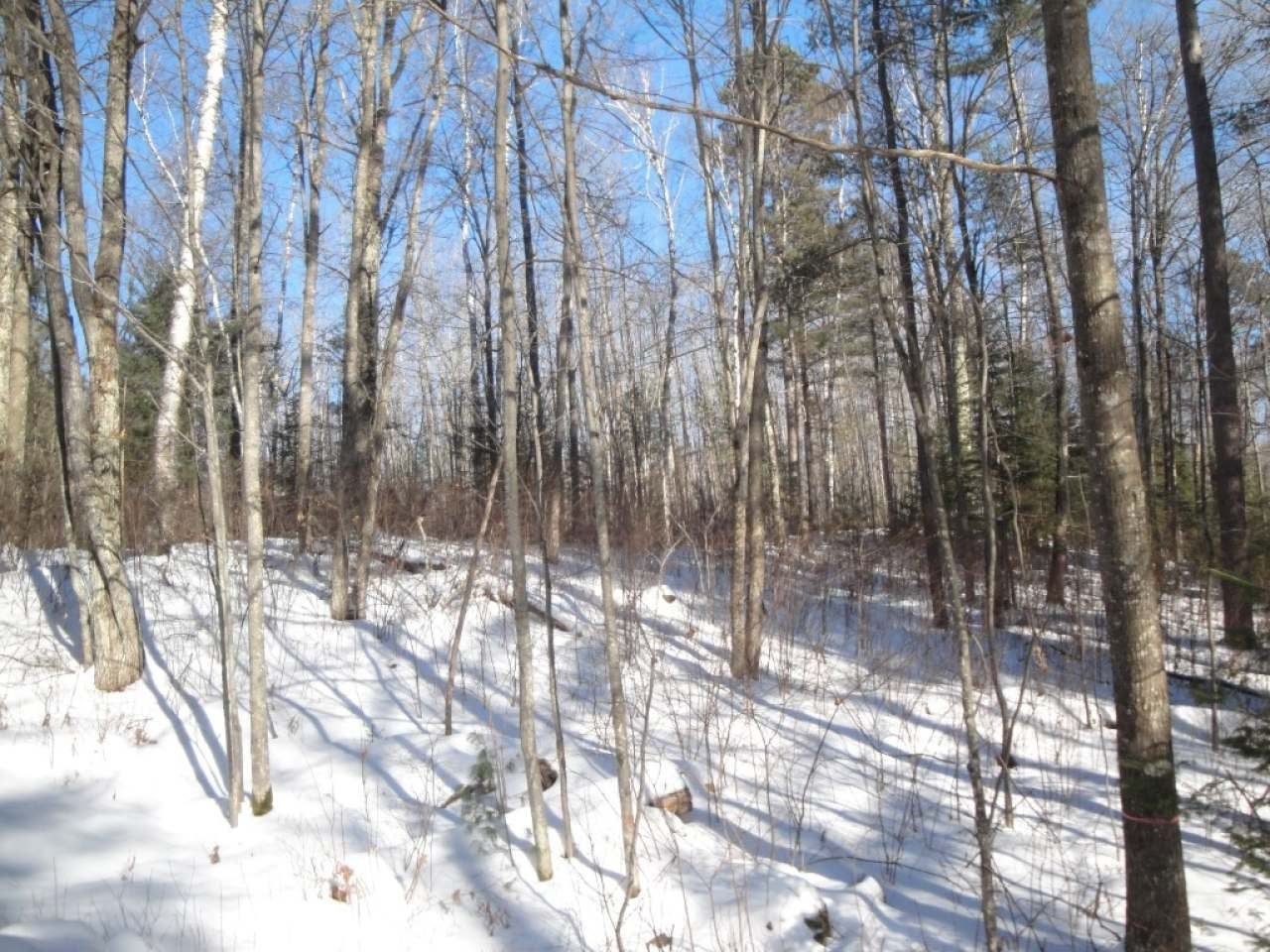 Lot 2 Cedar Lane Rhinelander, WI 54501 - Photo 11 of 19 Gallery Image 11