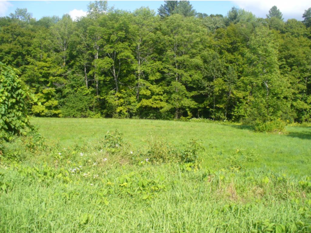 4 East Barnard Road Barnard, VT 05068 - Photo 6 of 23