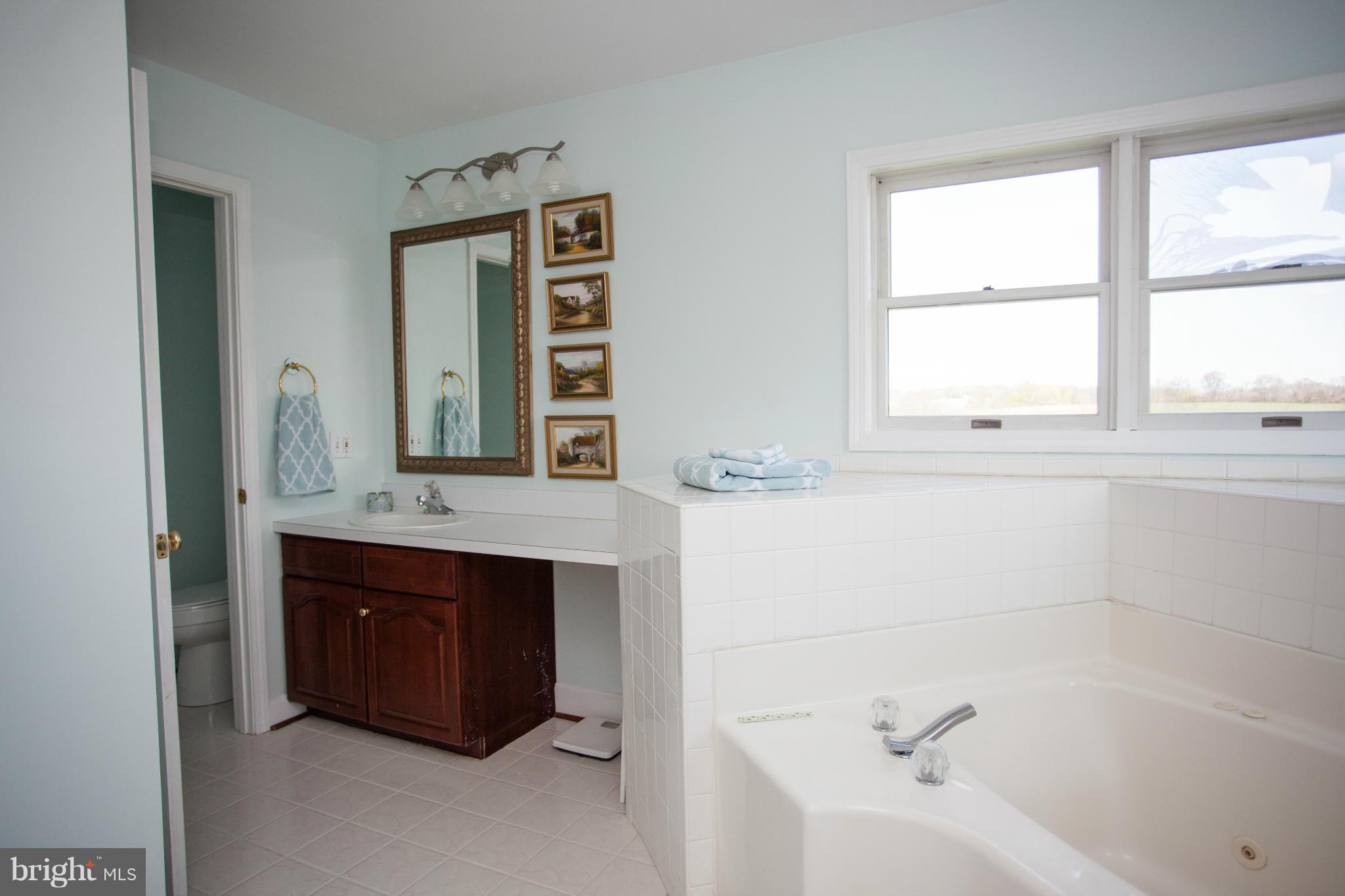 4830 Pleasant Grove Road Reisterstown, MD 21136 - Photo 21 of 30 Bath (Master)