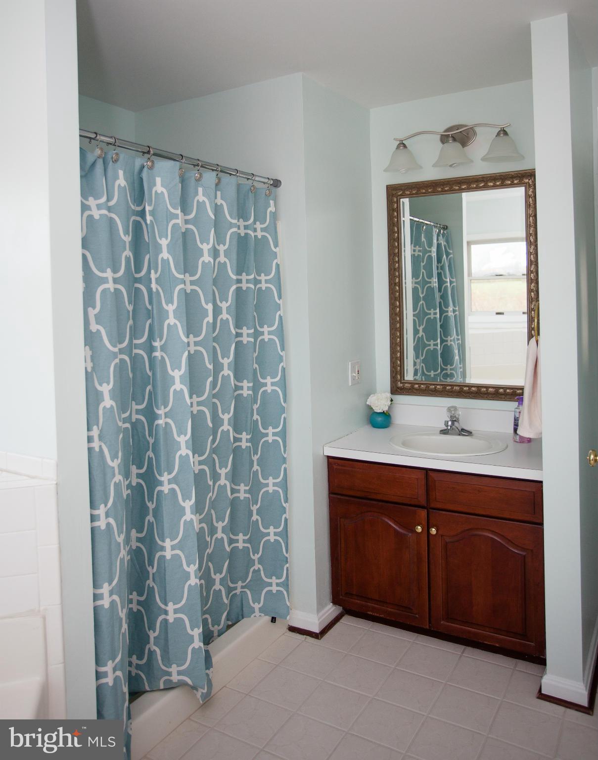 4830 Pleasant Grove Road Reisterstown, MD 21136 - Photo 22 of 30 Bath (Master)