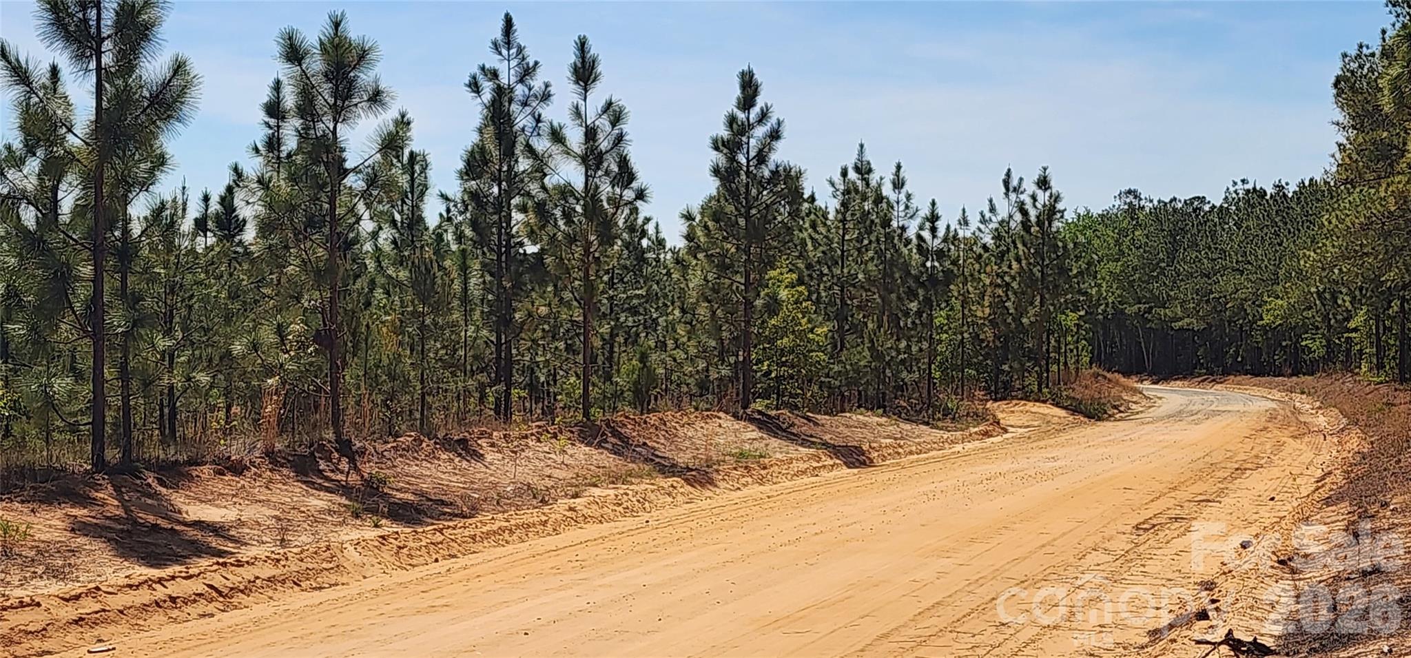 1045 McQueen Road Patrick, SC 29584 - Photo 3 of 32
