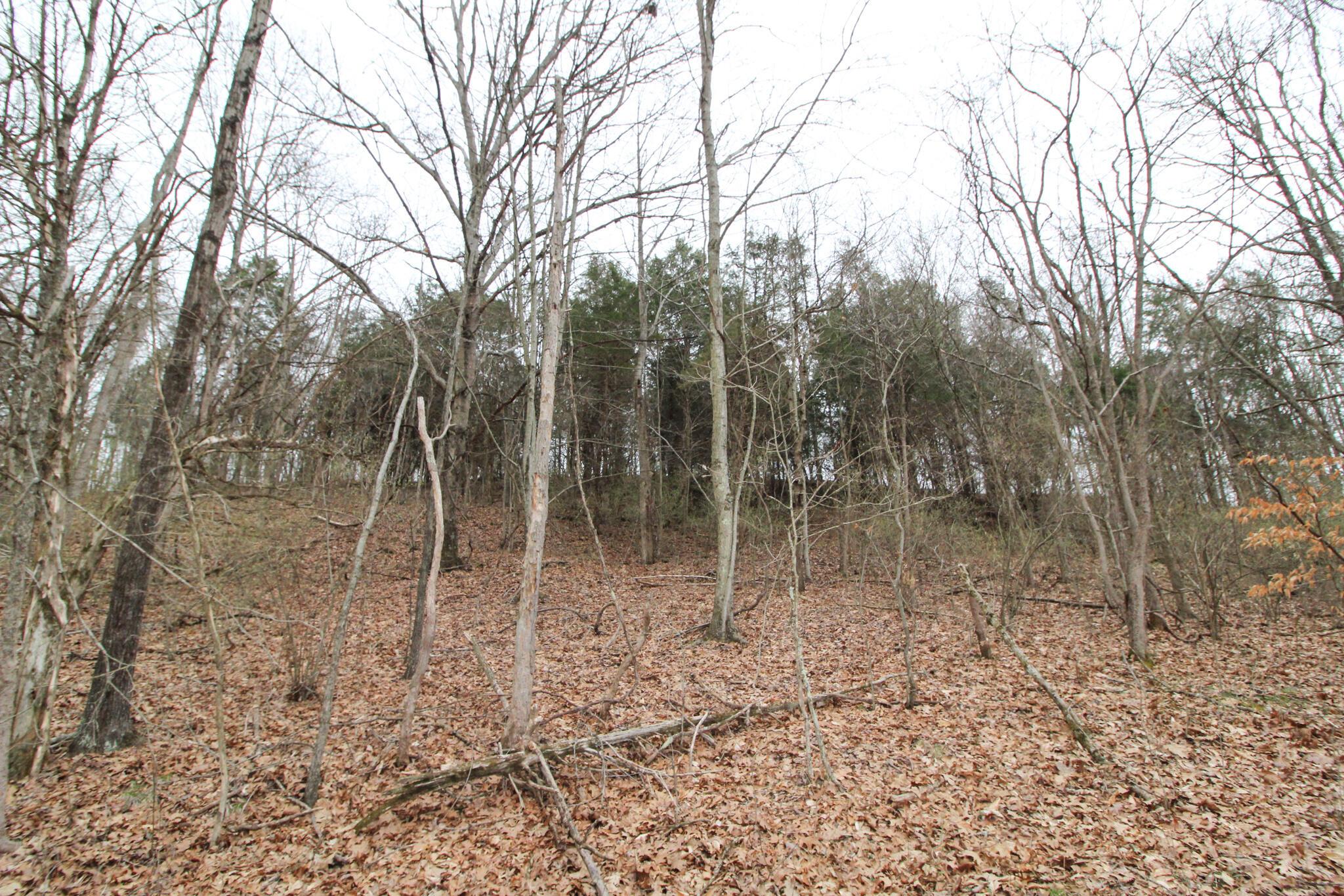 14630 Robinson Road Amesville, OH 45711 - Photo 24 of 39 IMG_3999