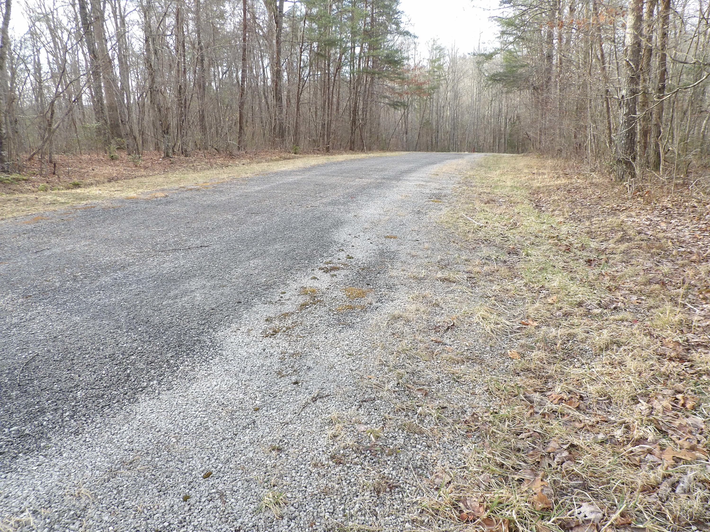 5 Mount Laurel Road, Unit 5 Pikeville, TN 37367 - Photo 14 of 14 100_2286 - Copy