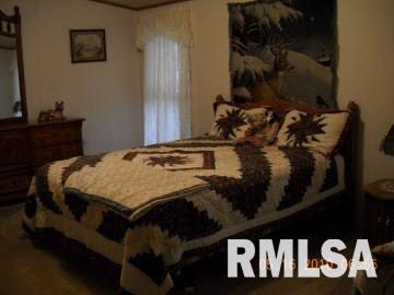 7162 Us Route Du Quoin, IL 62832 - Photo 3 of 14
