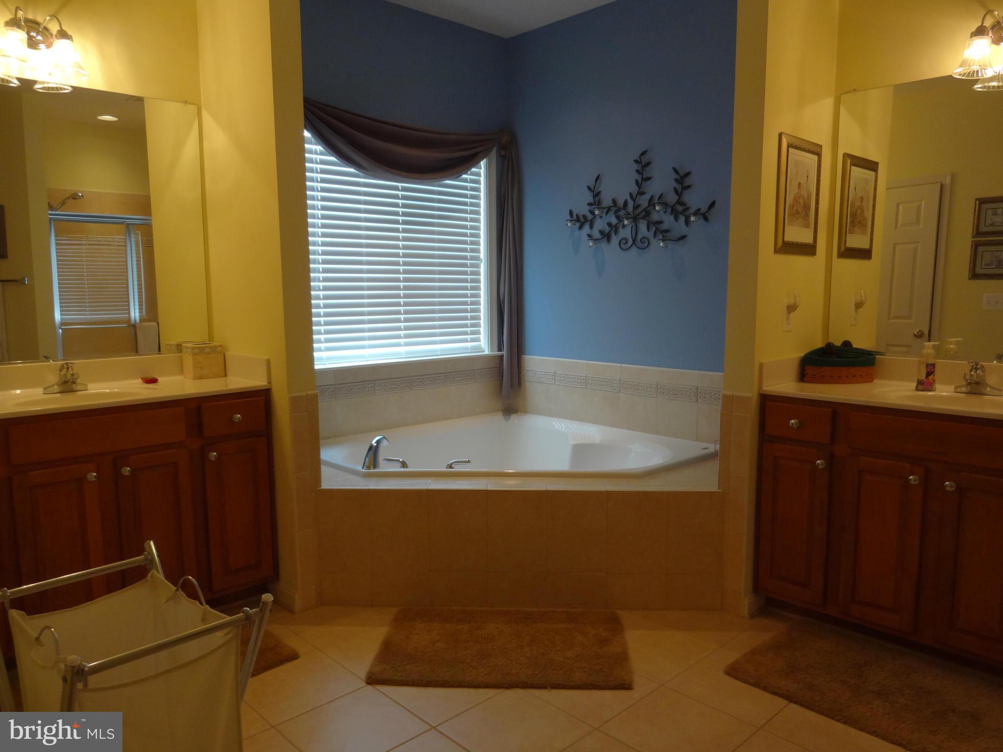 42 Riggs Road Fredericksburg, VA 22405 - Photo 16 of 29 Bath (Master)