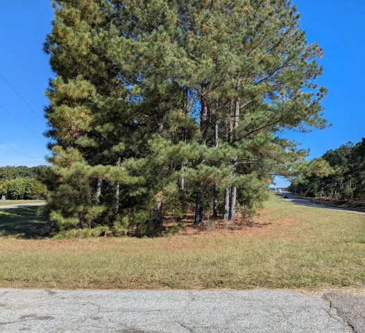 $30,000 | 0 Hwy 121 Trenton Sc 29847, Trenton, SC 29847
