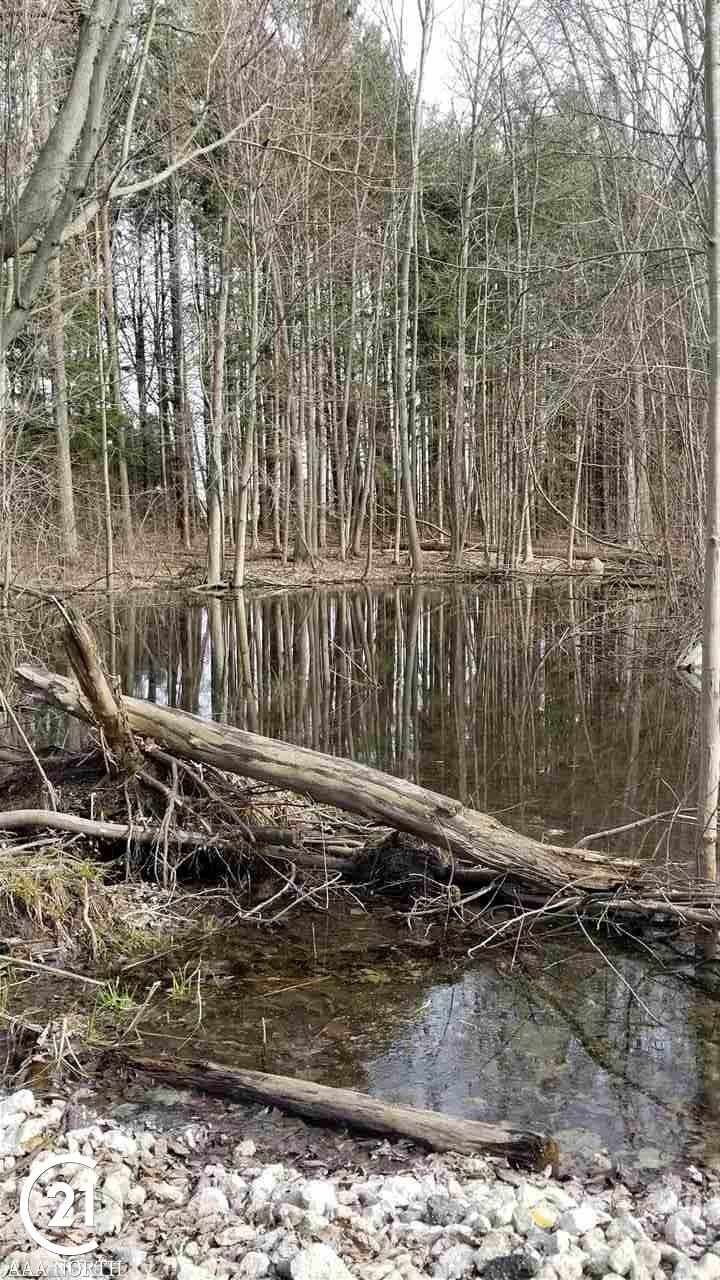 0 Spaulding Road Attica, MI 48412 - Photo 3 of 10
