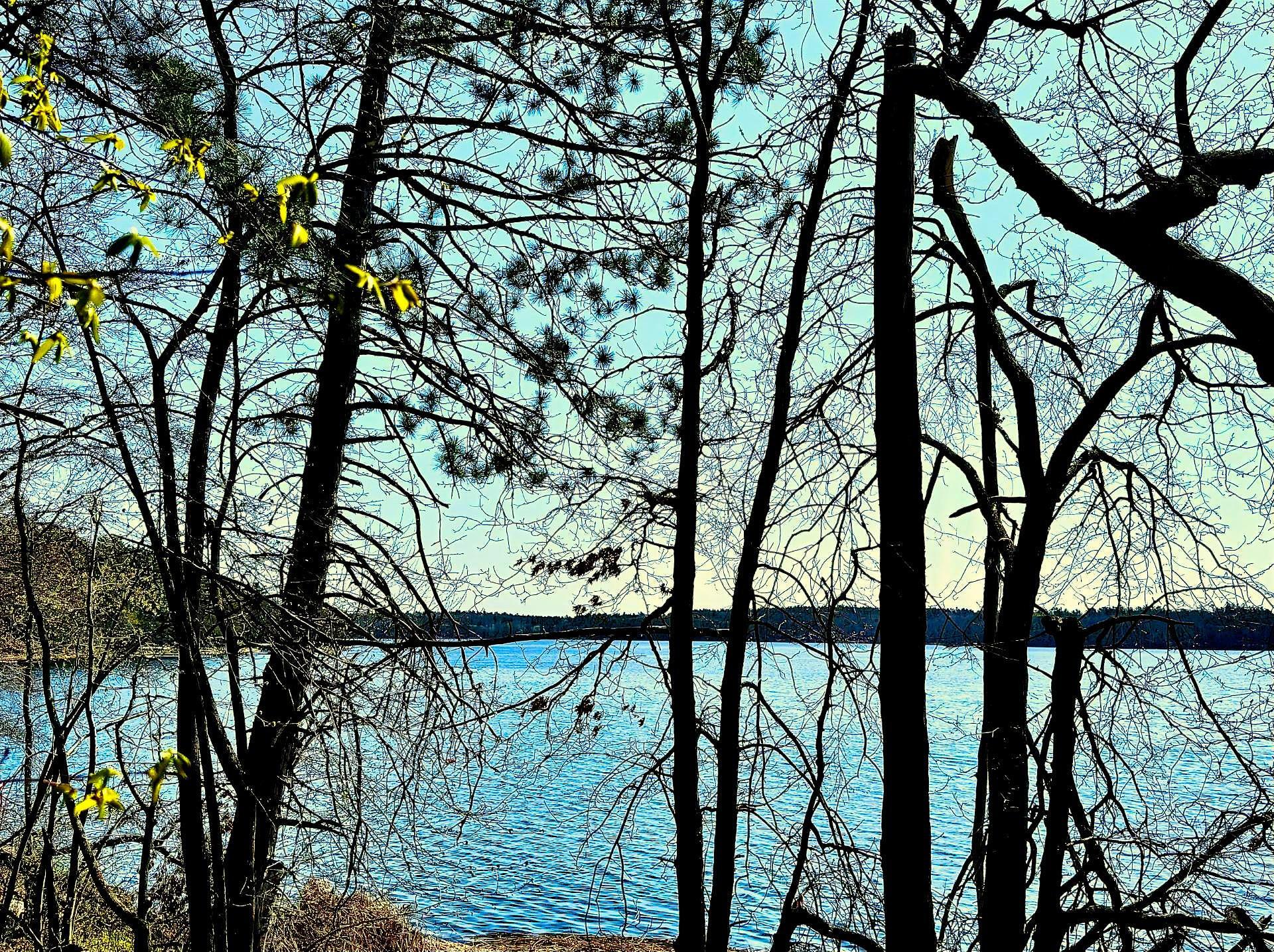 Tbd Rognaldson Road Brainerd, MN 56401 - Photo 1 of 17
