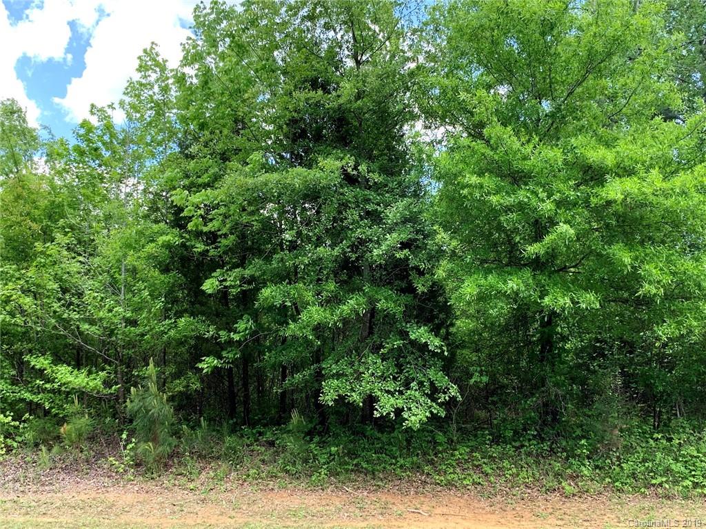 1.73 Acres Ballindam Road, Unit 20 Chester, SC 29706 - Photo 1 of 2 Gallery Image 1
