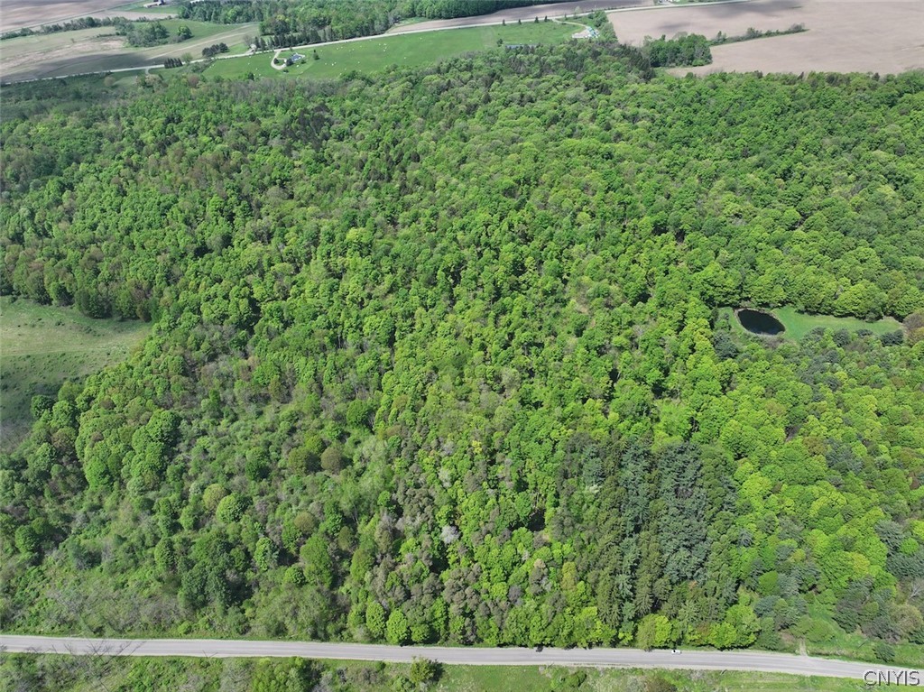 Dye Road South Dayton, NY 14138 - Photo 3 of 27