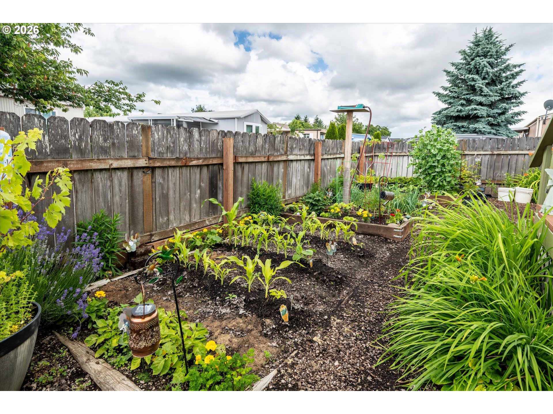 2150 Laura Street, Unit 79 Springfield, OR 97477 - Photo 25 of 34 Garden