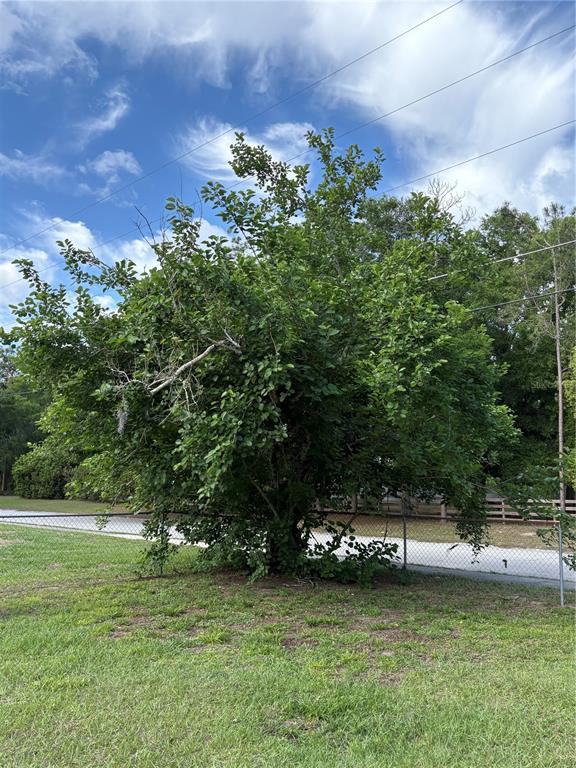 1203 Ustler Road Apopka, FL 32712 - Photo 6 of 33