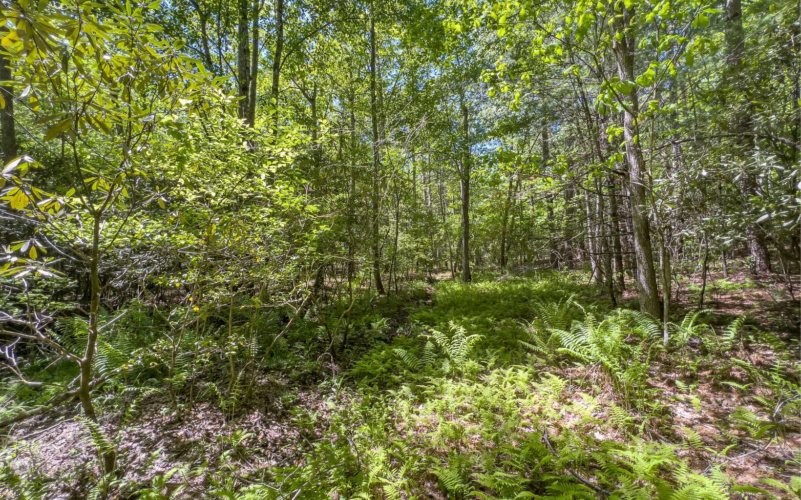 9.33 A Havanogotta Road Mineral Bluff, GA 30559 - Photo 3 of 48 Additional View