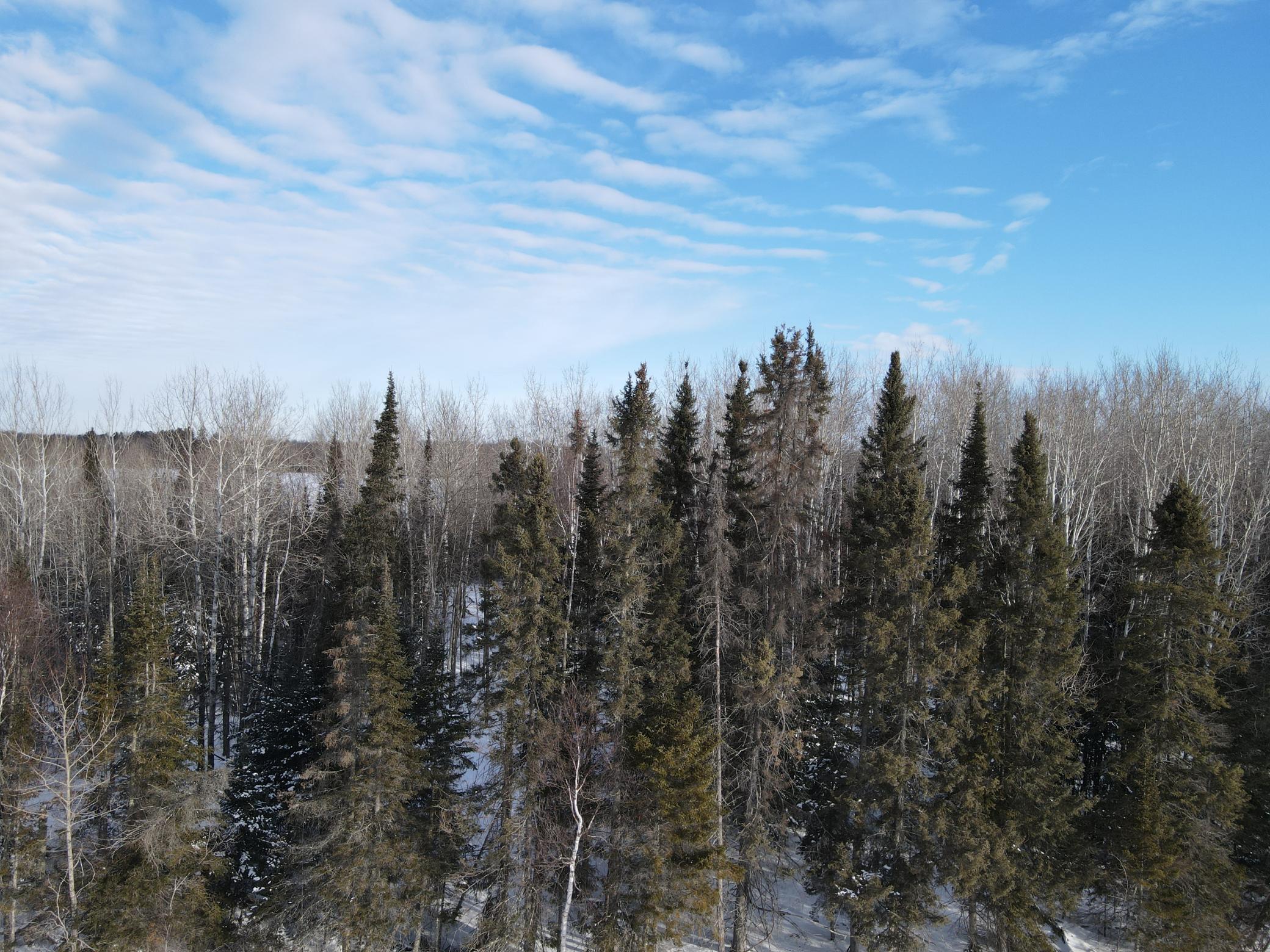 9166 Saralampi Road Meadowlands, MN 55765 - Photo 40 of 44