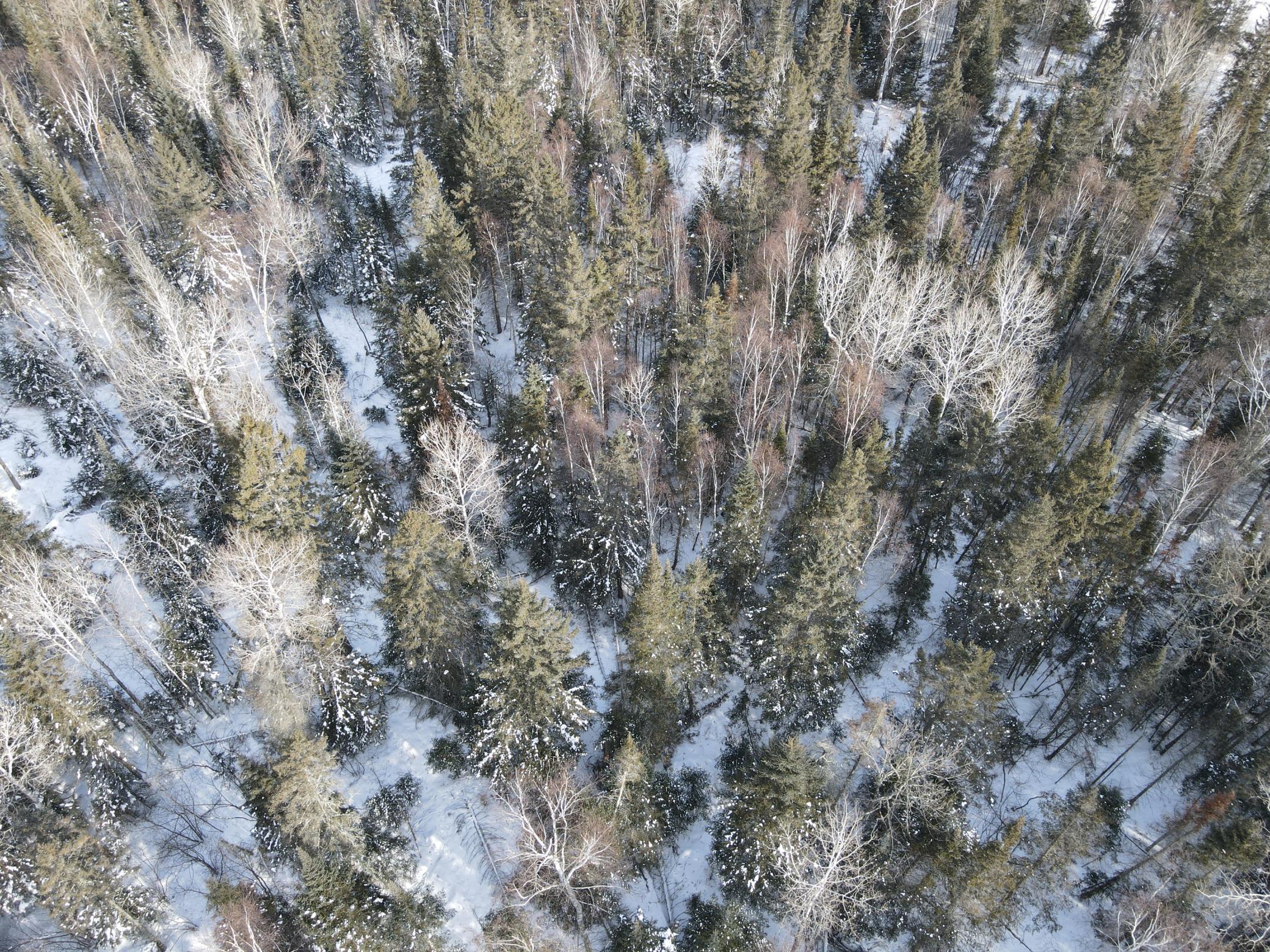 9166 Saralampi Road Meadowlands, MN 55765 - Photo 43 of 44