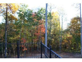 124 Allison Timbers Road Piney Flats, TN 37686 - Photo 12 of 12 View