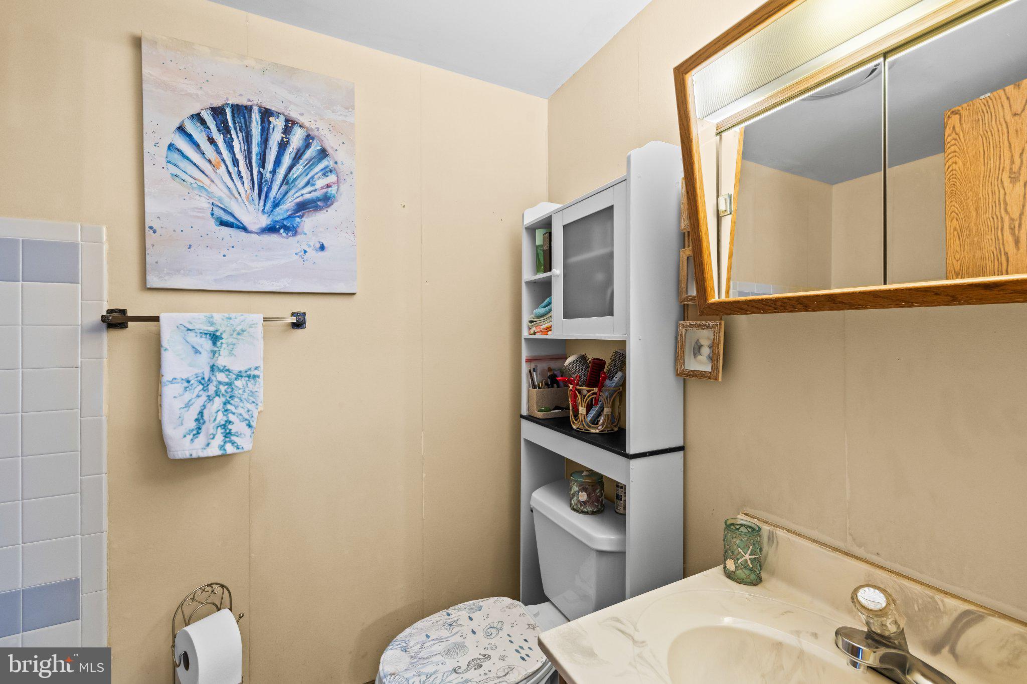 9 Raspberry Drive Mechanicsburg, PA 17050 - Photo 28 of 30 Coastal charm in a cozy bathroom.