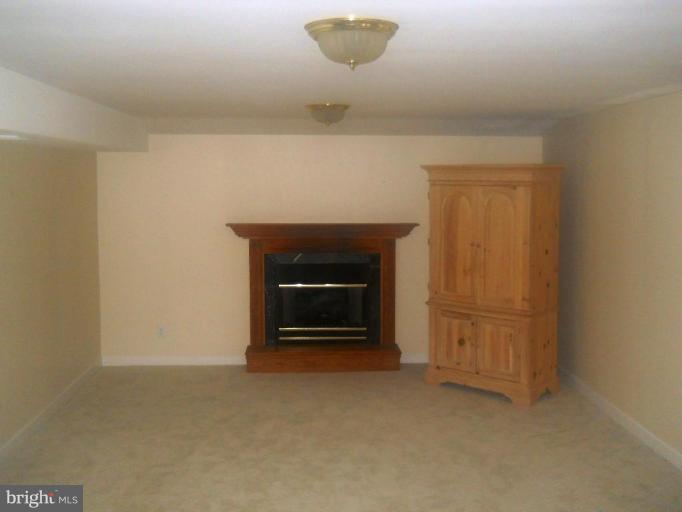 9019 Scott Street Springfield, VA 22153 - Photo 15 of 18 Recreation Room #2