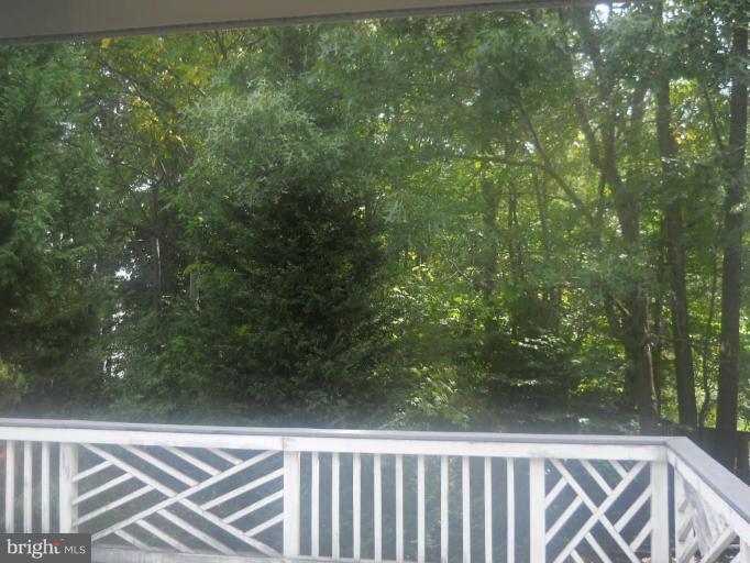 9019 Scott Street Springfield, VA 22153 - Photo 18 of 18 Deck - View from