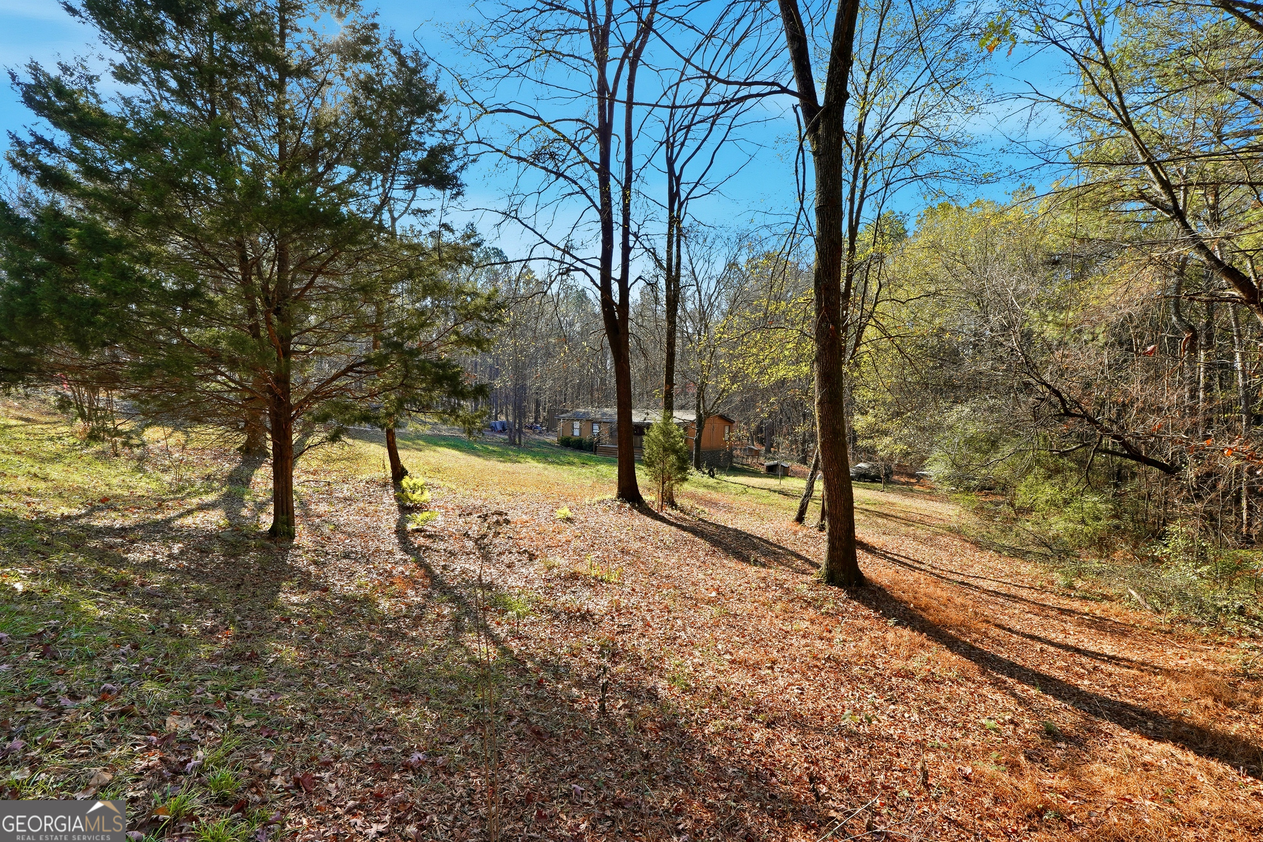 a view of a yard with trees