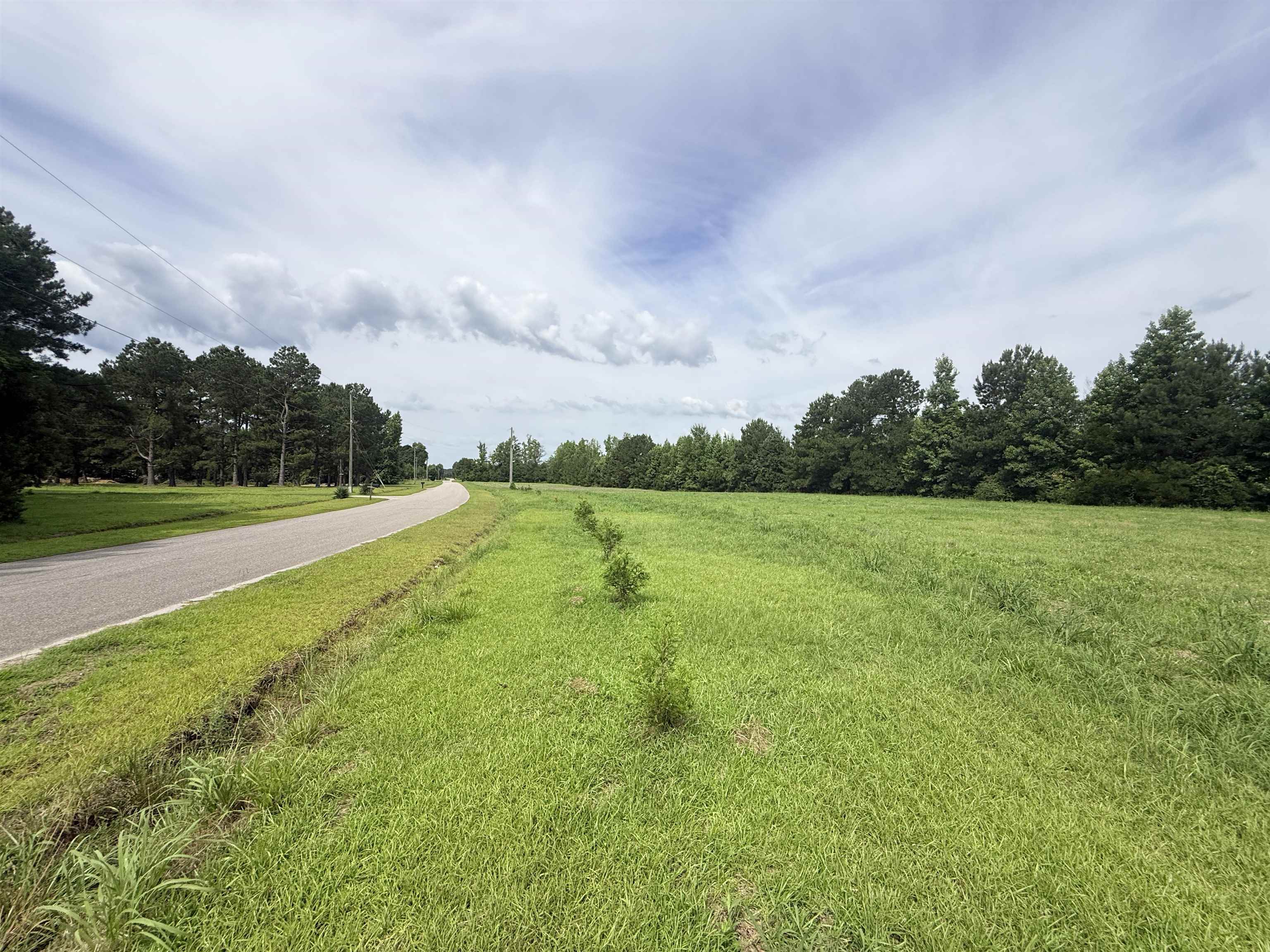 1991 Church Road Green Sea, SC 29545 - Photo 18 of 22 Gallery Image 18